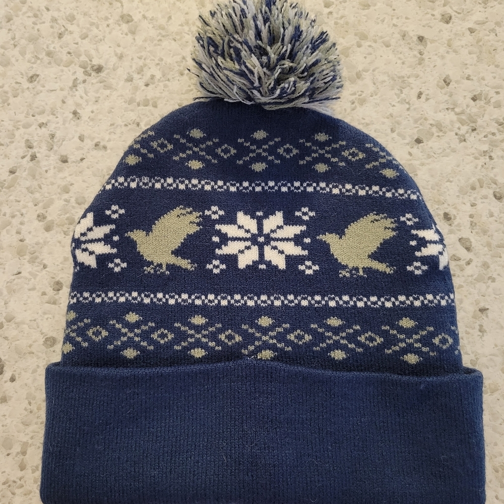 Harry Potter hat (ravenclaw)